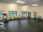 Gyms & Sports Halls